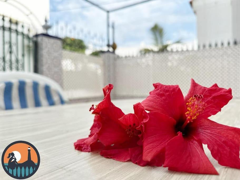 צ'יפיונה Cala Mariquilla La Caneja By Bossh! Apartments מראה חיצוני תמונה